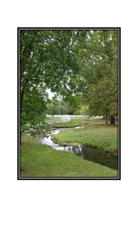 white fenced stream