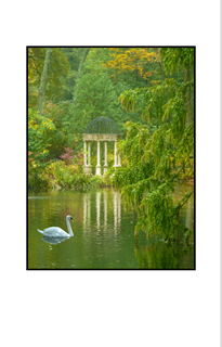 gazebo with swan in pond