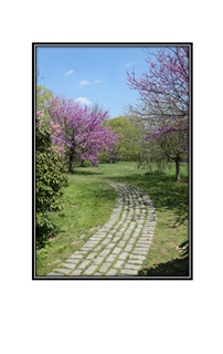 path to spring