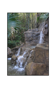 Tropical Waterfall