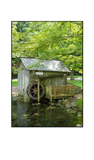 Cottage Water Wheel by Pond