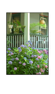 Hanging Baskets and Hydrangaes on Porch