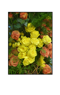 orange and yellow roses